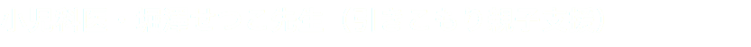 小児科医・堀澤せつこ先生（引きこもり親子支援）